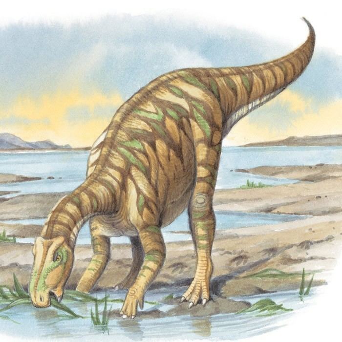 Protohadros Protohadros Pictures amp Facts The Dinosaur Database