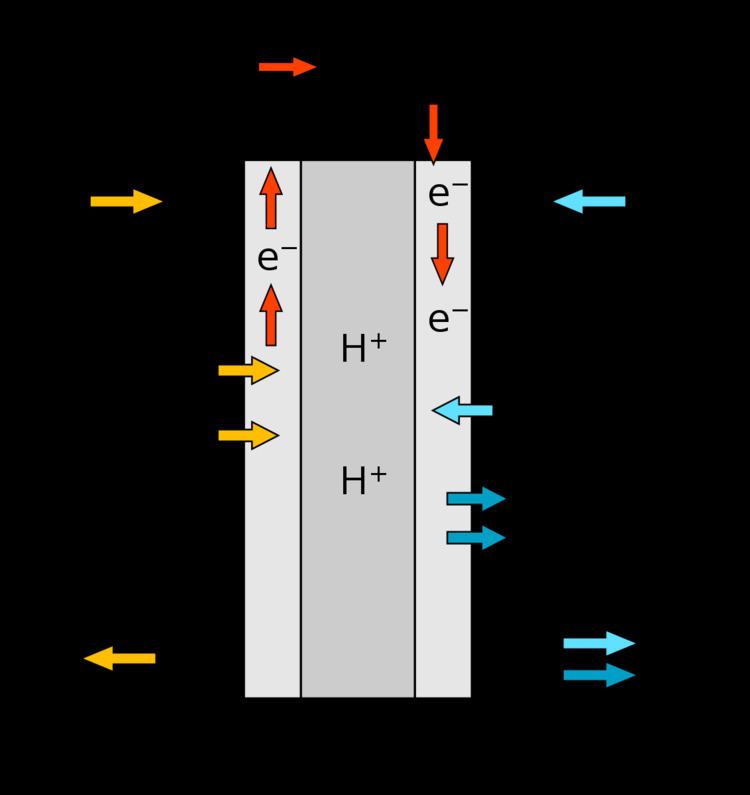 Proton exchange membrane fuel cell