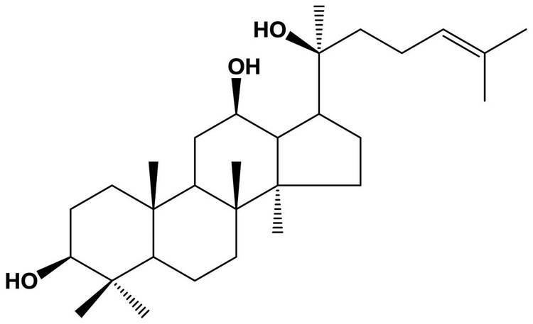 Protopanaxadiol Neuroprotective effects of 20Sprotopanaxadiol against glutamate