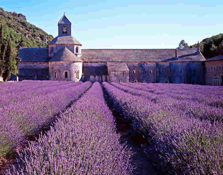Provence wwwrocksurecomwpcontentuploads201407iStock
