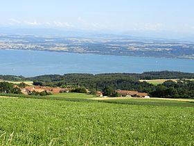 Provence, Switzerland httpsuploadwikimediaorgwikipediacommonsthu