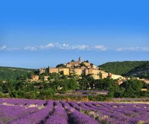 Provence wine Provence Wine Regions