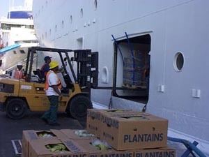 Provisioning (cruise ship)