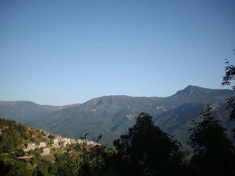 Pruno, Haute-Corse