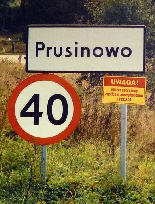 Prusinowo, Poznań County
