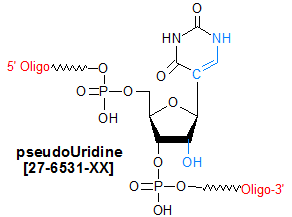 Pseudouridine pseudoUridine psi rU Oligo Modifications from Gene Link