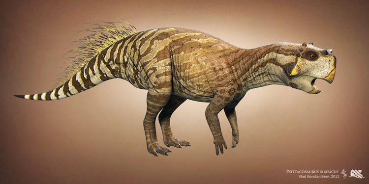 Psittacosaurus psittacosaurus DeviantArt