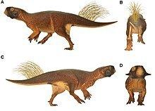 Psittacosaurus httpsuploadwikimediaorgwikipediacommonsthu