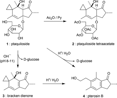 Ptaquiloside Ptaquiloside the major toxin of bracken and related terpene