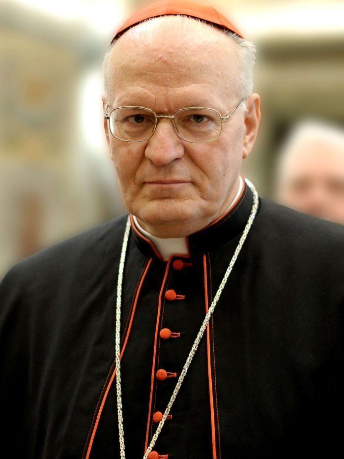 Péter Erdő Cardinal Peter Erdo is known for his efforts to combat
