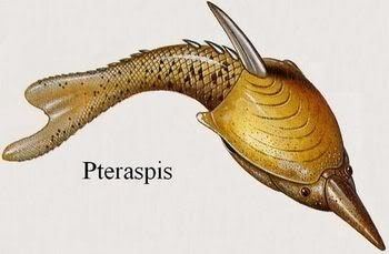 Pteraspis Life Before the Dinosaurs Pteraspis