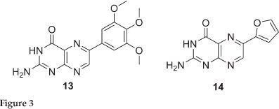 Pterin Negishi coupling of pteridineOsulfonates