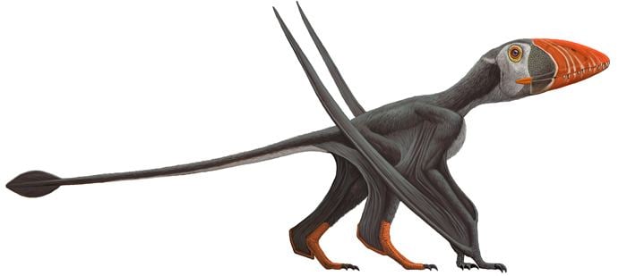 Pterosaur What is a pterosaur