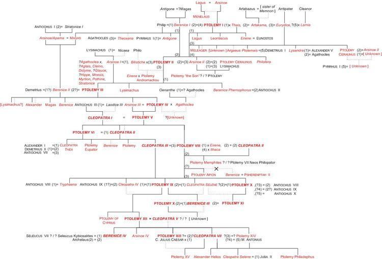 Ptolemaic family tree