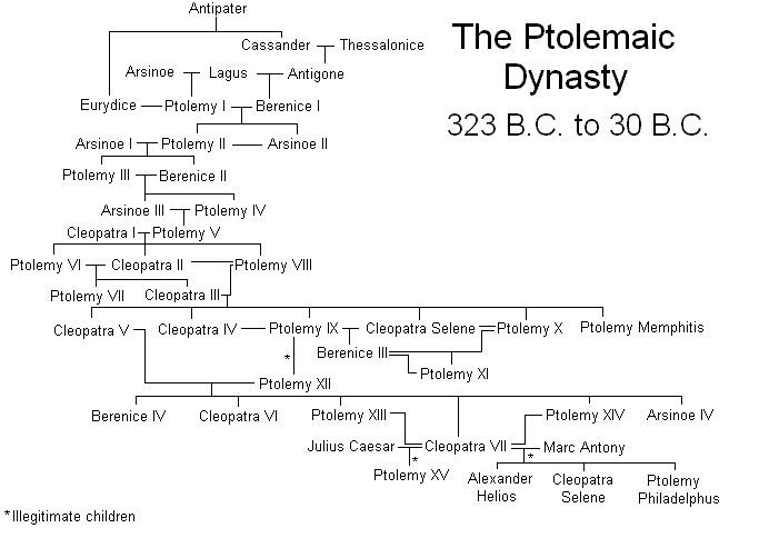 The Ptolemaic family tree from 323 B.C to 30 B.C
