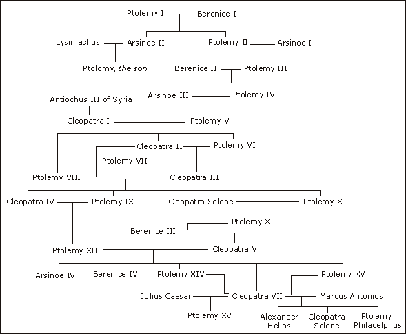 Simplified Ptolemaic family tree