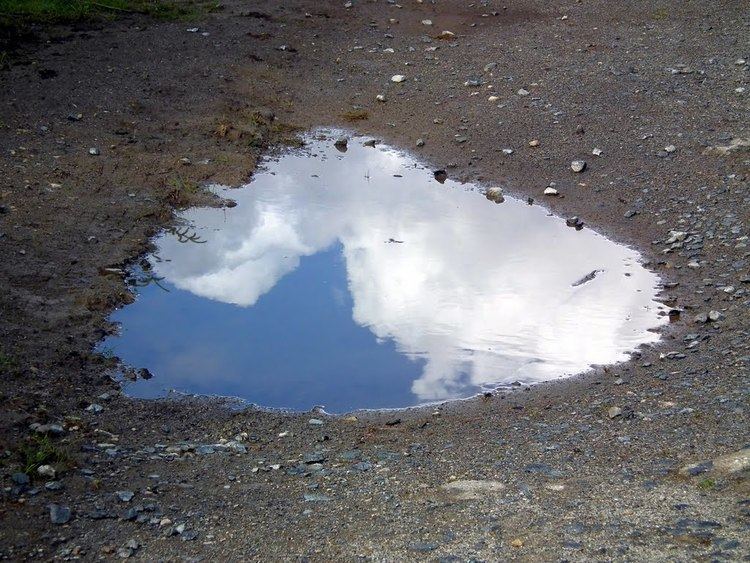 Puddle This is not a beach it39s a picture of a puddle woahdude