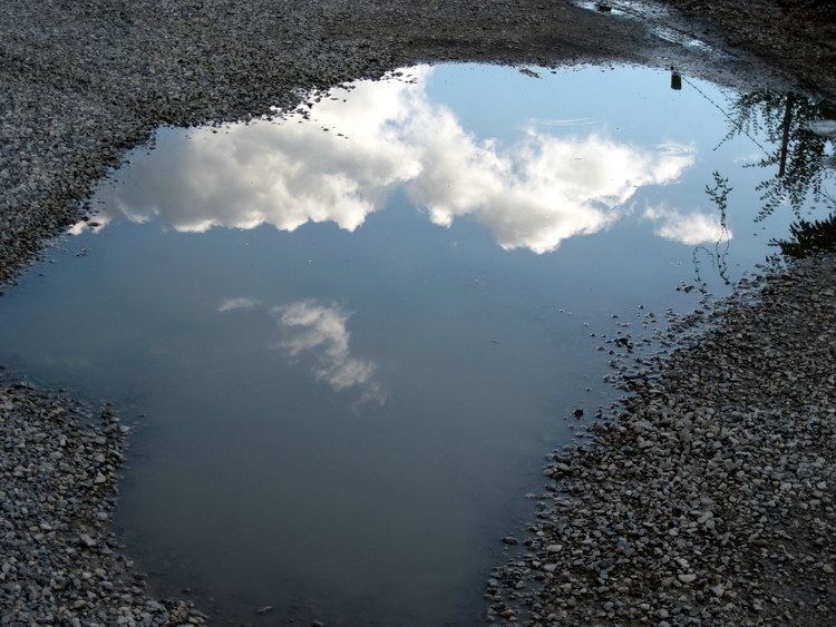 Puddle 4 Ways to Turn a Puddle into a Pool Ken Braddy
