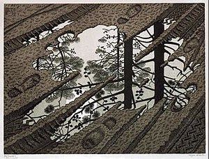 Puddle (M. C. Escher) httpsuploadwikimediaorgwikipediaenthumb0