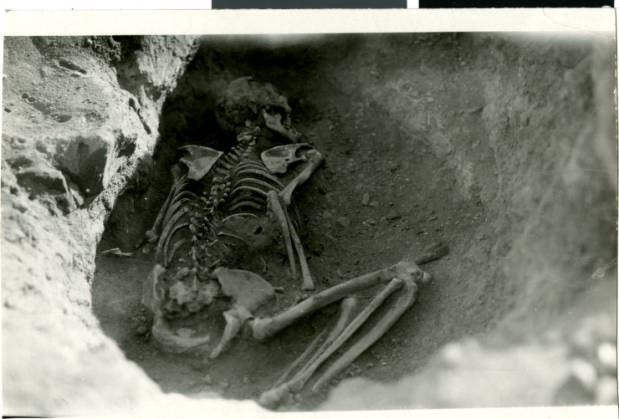 Pueblo Grande de Nevada UNLV Libraries Digital Collections Postcard of skeletal remains
