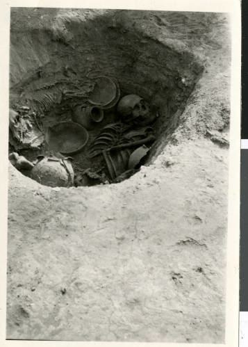Pueblo Grande de Nevada UNLV Libraries Digital Collections Photograph of remains and
