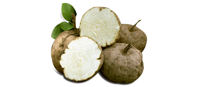Pueraria mirifica Tips for Success with Pueraria Mirifica Grow Breasts Naturally