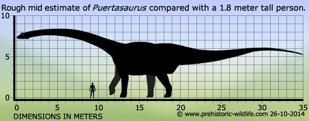 Puertasaurus Puertasaurus