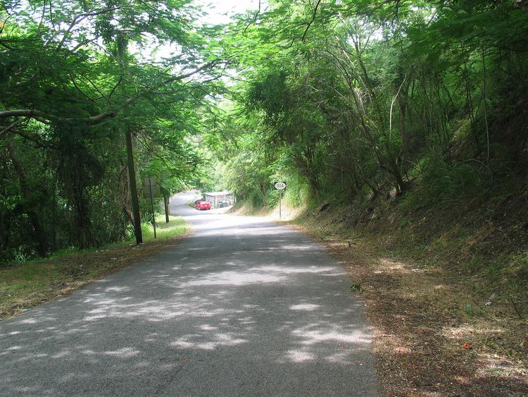 Puerto Rico Highway 504