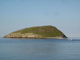 Puffin Island (Anglesey) httpsuploadwikimediaorgwikipediacommonsthu