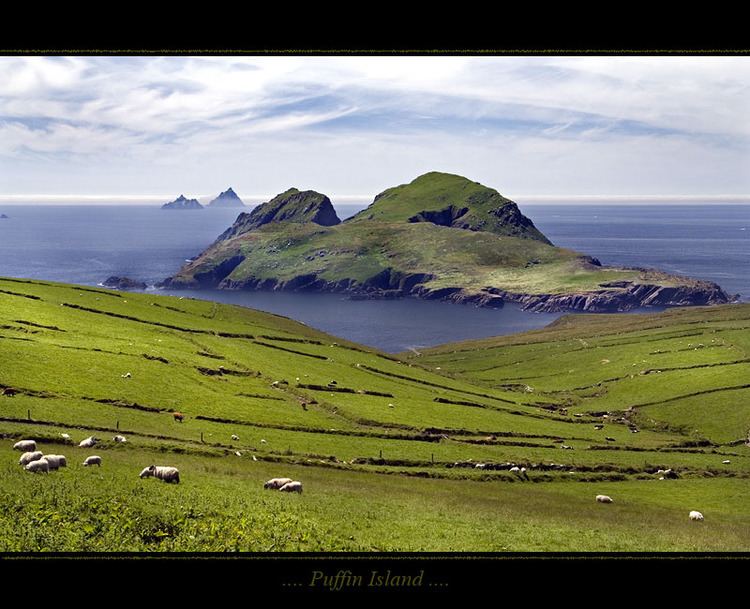 Puffin Island (County Kerry) i1trekearthcomphotos5513puffinislandjpg