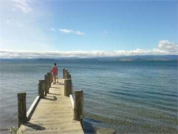Pukawa Pukawa Bay holiday homes accommodation rentals baches and vacation