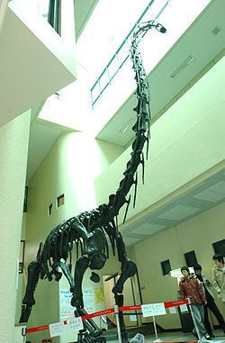 Pukyongosaurus httpsuploadwikimediaorgwikipediacommonsthu