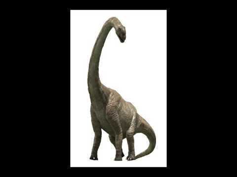 Pukyongosaurus Pukyongosaurus YouTube