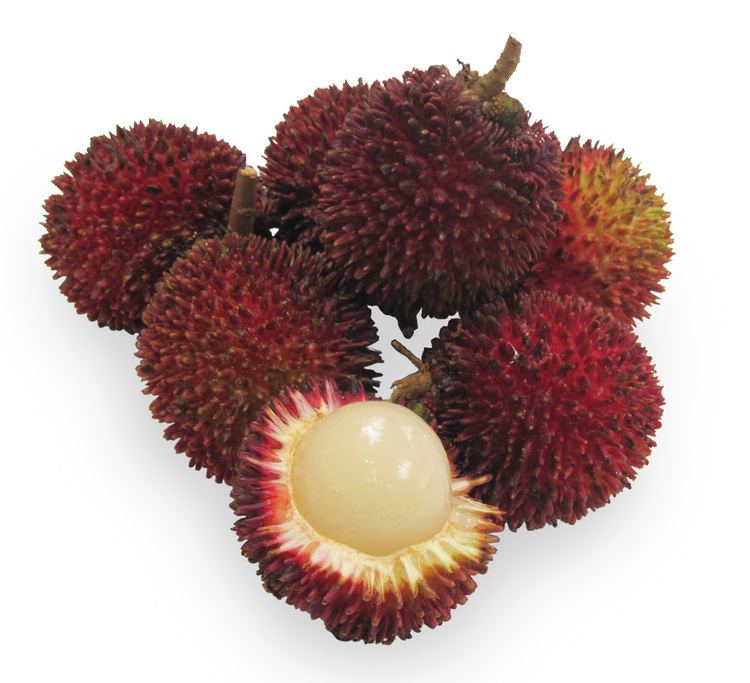 Pulasan Pulasan Far East ImportExport Sdn Bhd