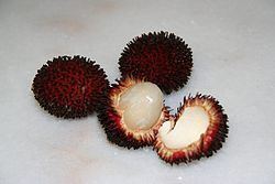 Pulasan Pulasan Wikipedia