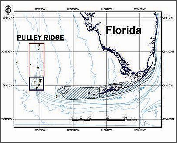 Pulley Ridge Pulley Ridge deep drop trip out of Key West Saltwater Fishing