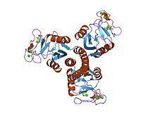 Pulmonary surfactant protein D httpsuploadwikimediaorgwikipediacommonsthu