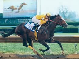 Pulpit (horse) Pulpit39s Legacy Lives On Pedigree Power Horse Racing Nation