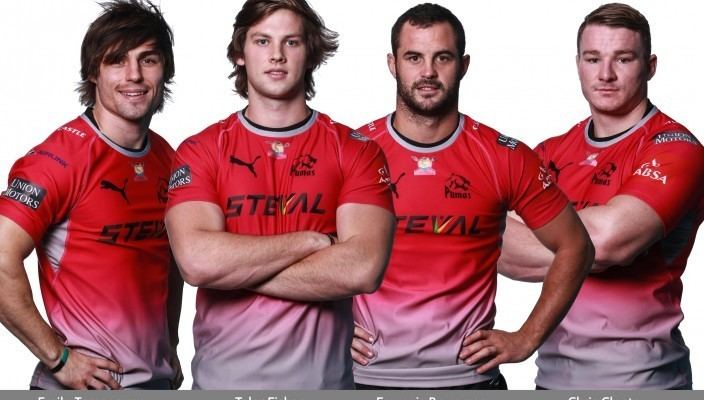 Pumas (rugby team) Steval Pumas 2016 signings 15coza Rugby News Live Scores