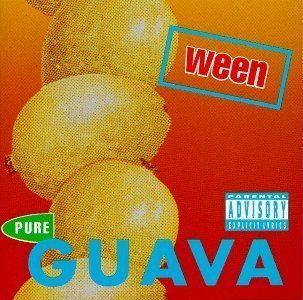 Pure Guava httpsuploadwikimediaorgwikipediaen11aWee