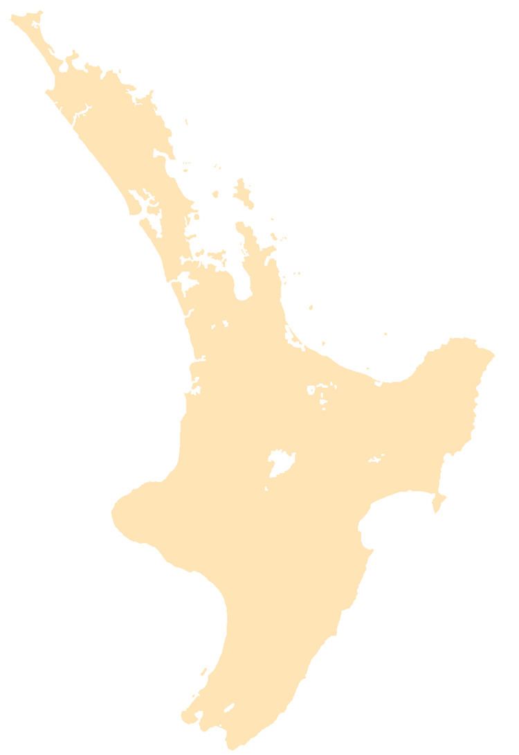 Puriri, New Zealand
