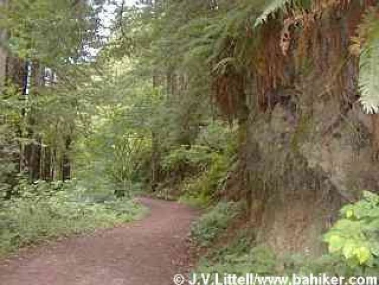 Purisima Creek (San Mateo County) bahikercompicturessouthbaypurisima060700smal