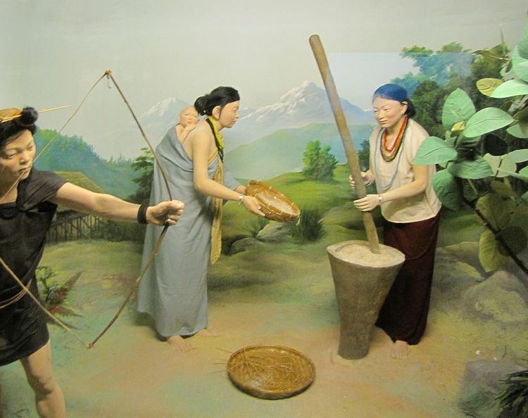 Puroik people