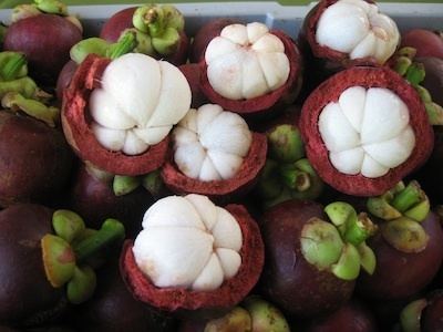 Purple mangosteen Purple Mangosteens Wyalla GardensWyalla Gardens