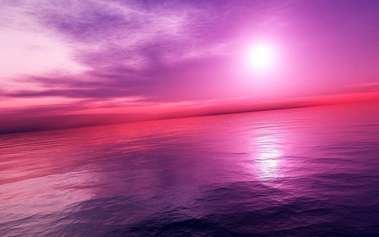 Purple Sea Purple sea HD wallpaper 547506