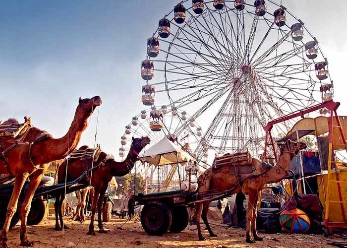 Pushkar Fair Pushkar Fair India pushkar fair Rajasthan pushkar camel fair