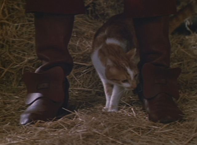 Puss in Boots (1988 film) Puss in Boots 1988 Cinema Cats