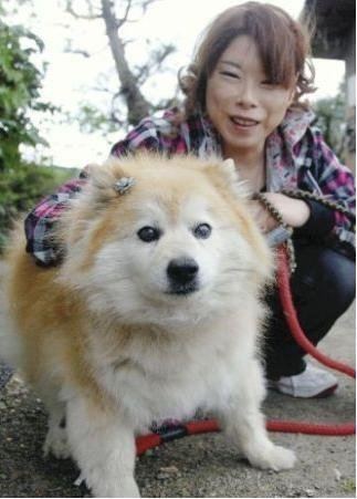 Pusuke World39s oldest living dog dies at 26