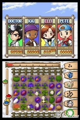 Puzzle de Harvest Moon Puzzle de Harvest Moon Nintendo DS IGN