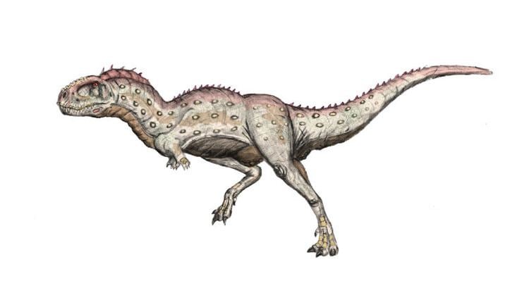 Pycnonemosaurus pycnonemosaurus DeviantArt